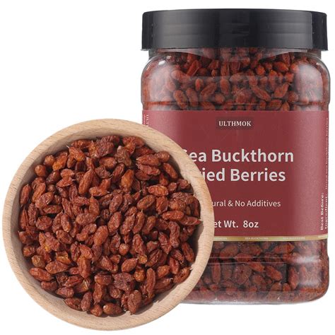 Buy Premium Dried Sea Buckthorn Berries 8 Oz 227g Natural No