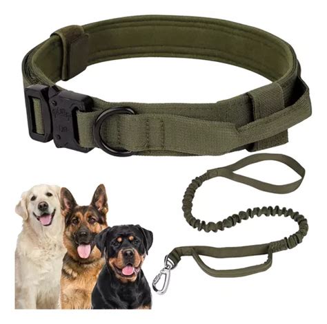 Collar T Ctico De Perro Hebilla Met Lica Ajustable Correa Mercadolibre