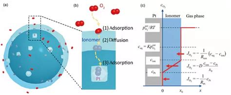 质子交换膜燃料电池超低铂化过程中的物质传输 知乎