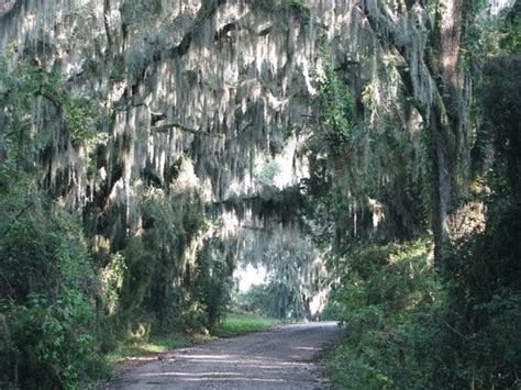 Savannah National Wildlife Refuge Hardeeville 2020 Alles Wat U Moet