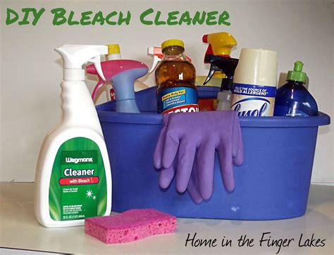 Diy Bleach Cleaning Spray Home In The Finger Lakes Recipe