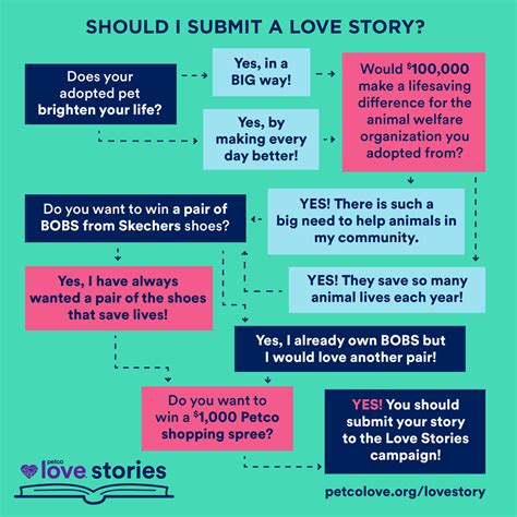 A petco love lost success story involves a dog found miles away 30