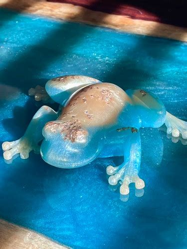 Frogs - Turquoise and Gold | Cribbage King