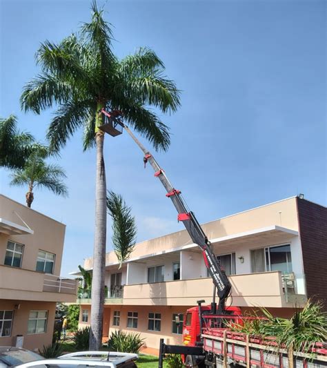 Empresa especializada em poda de árvore em Campinas Juruna