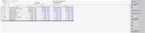 Analisi Di Bilancio Per Business Unit Manuale Prodotto