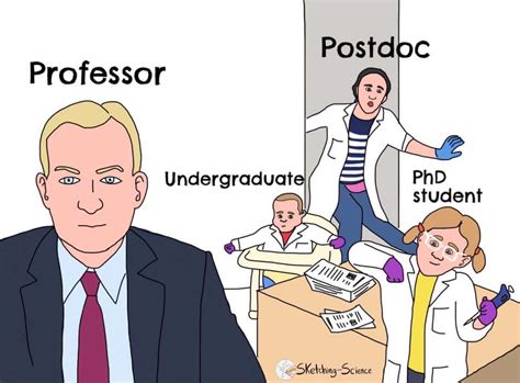 The Professor The Postdoc The Grad Student And The Undergraduate R