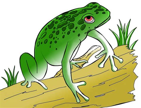 Toad clipart frog habitat, Picture #3201402 toad clipart frog habitat