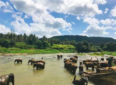 Paradise Awaits Tours Travel Trends Leisure