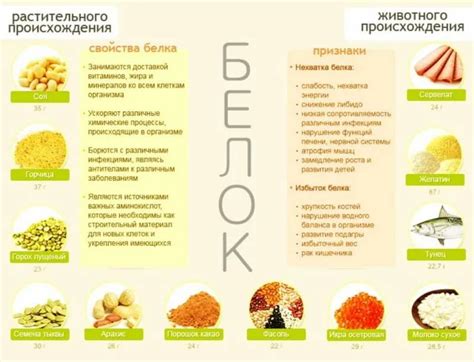Белковая диета для похудения: меню на каждый день - letbefit.ru
