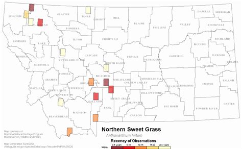 Northern Sweet Grass Montana Field Guide