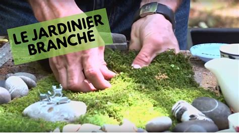 Comment ajoutez de la mousse à votre jardin Le jardinier branché