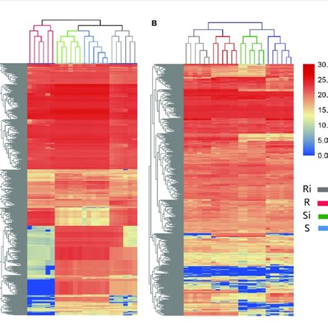 Unsupervised Hierarchical Cluster Analysis With Euclidean Distance