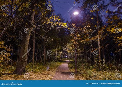 Mystical Trail In The Night Forest In The Park With Glowing Lanterns