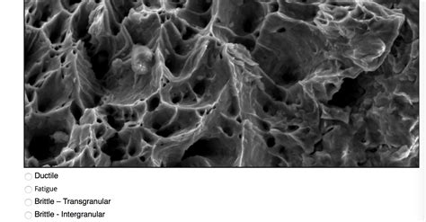 Solved Identify The Fracture Mode For The Following Sem