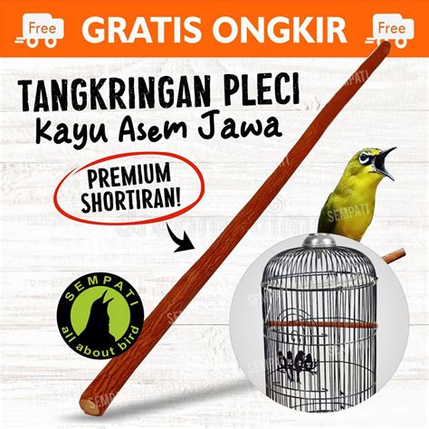 Jual Tangkringan Pleci Kayu Asem Jawa Alami Grade A Premium Tangkringan