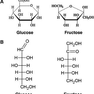 Glucose Versus Fructose Chemical Structure A The Hemiacetal Group Of