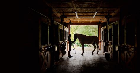 Horse Barn Photography