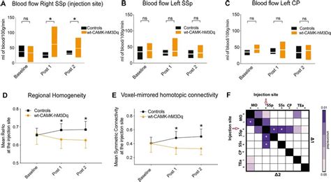 Changes Induced By Activating HSyn HM4Di In PVCre Mice A Neuronal