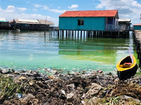 Contaminaci N Del Lago De Maracaibo Fomenta Crisis De Salud