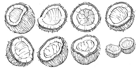 벡터 코코넛 손으로 그린 스케치 벡터 열 대 음식 그림입니다 빈티지 스타일 디자인 로고 메뉴 레이블 아이콘 스탬프에