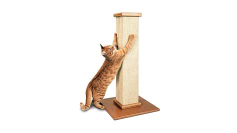 Smartcat Pioneer Pet Ultimate Scratching Post Review Petsradar