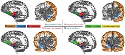 Do Say Gay una revisión detallada sobre sexo y género I Prefacio