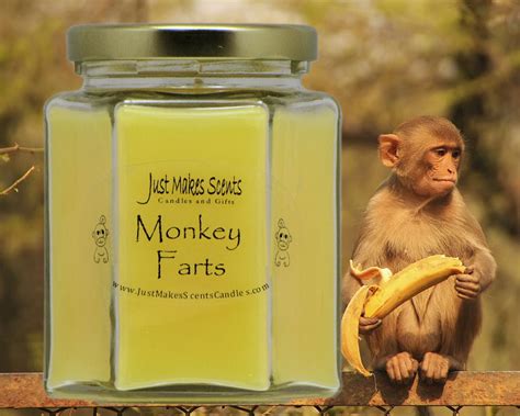 Monkey Farts Scented Candle