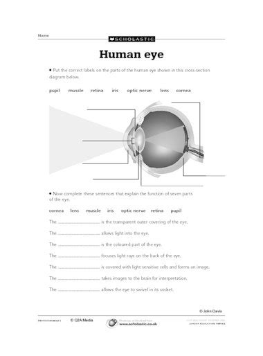 Free Human Eye Worksheet Download Free Human Eye Worksheet Png Images Free Worksheets On