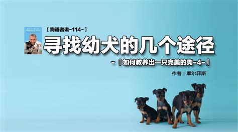 【狗语者说 114 】寻找幼犬的几个途径 知乎