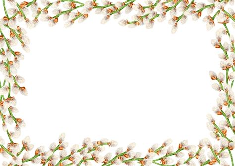 Premium Photo Hand Drawn Watercolor Wreath Frame Of Pussy Willow Botanical Clip Art Symbol Of