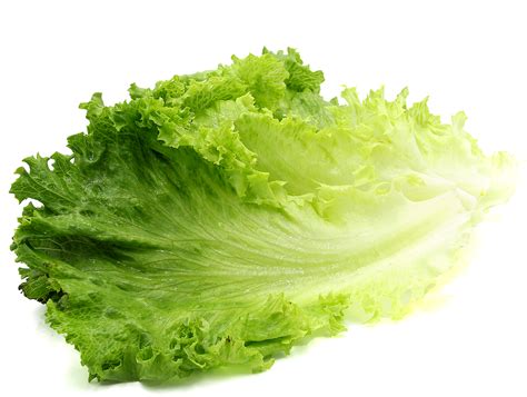 Lettuce Vegetable Fresh Produce Green Leaf Transparent