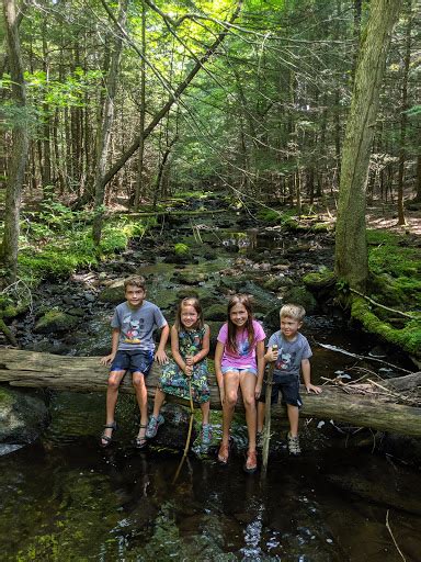 Robert Ingalls Preserve Atracción Turística En East Nassau New York