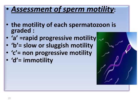 Semen Analysis Ppt Download