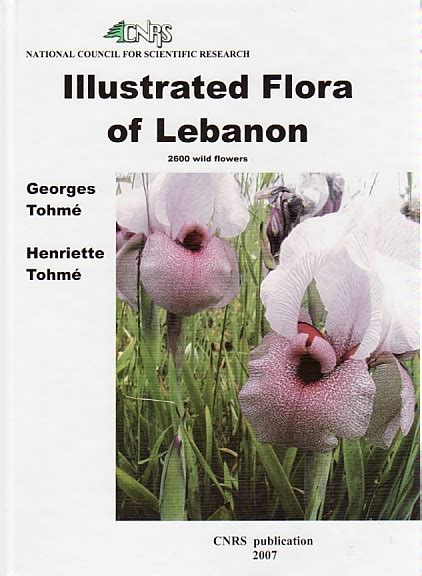 National Flower Of Lebanon Best Flower Site