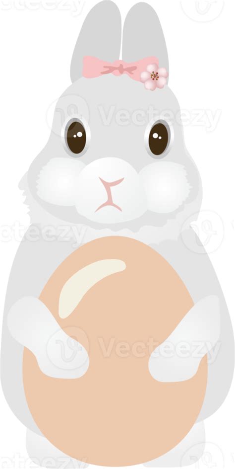 Cute Easter Bunny 17293353 Png