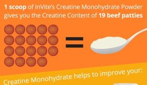 Creatine Monohydrate Side Effects - HRF