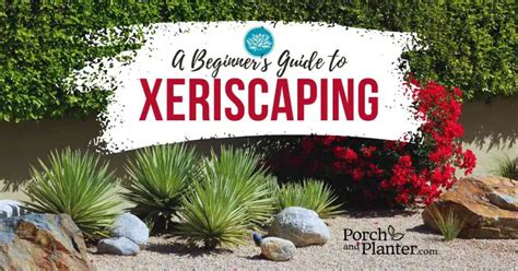 A Beginner S Guide To Xeriscaping Porch And Planter