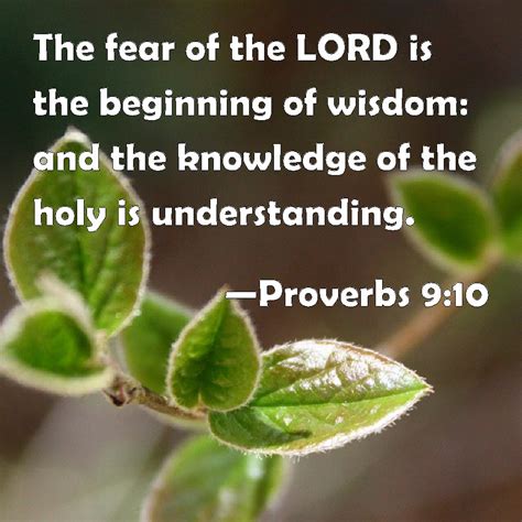 Proverbs 9 10 The Fear Of The Lord Is The Beginning Of Wisdom And The