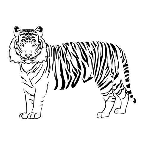 Tiger Outline Clip Art