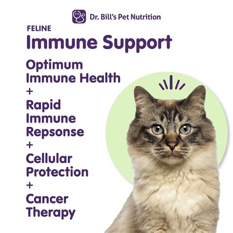 Feline Immune Support Cat Health Dr Bill S Pet Nutrition