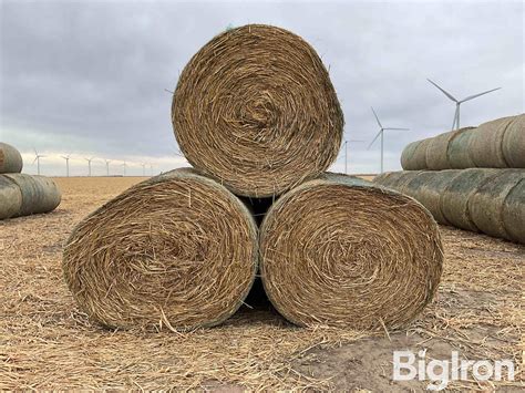 Sorghum Sudangrass Round Hay Bales Bigiron Auctions