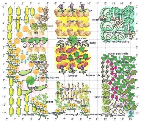 19+ Appealing Companion Planting Chart | Inspiratif Design