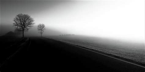 Foggy Road Photograph By Imi Koetz Fine Art America