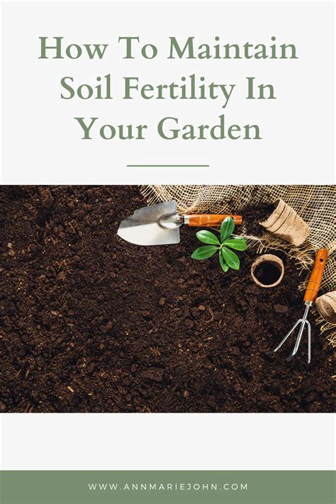 How To Maintain Soil Fertility In Your Garden Annmarie John