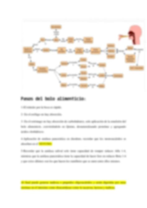 Solution Bioquimica Carbohidratos Digestion Y Absorcion Studypool