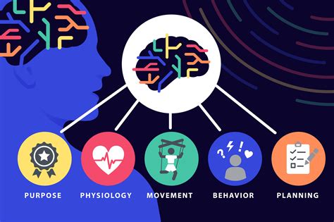 Descubrieron En El Cerebro Humano Una Sorprendente Red Que Conecta Al Cuerpo Con La Mente Infobae