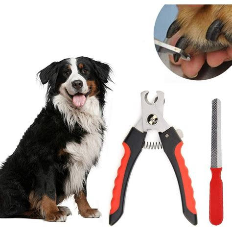 Dog Nail Clippers and Trimmer - with Quick Safety Guard to Avoid Over ...