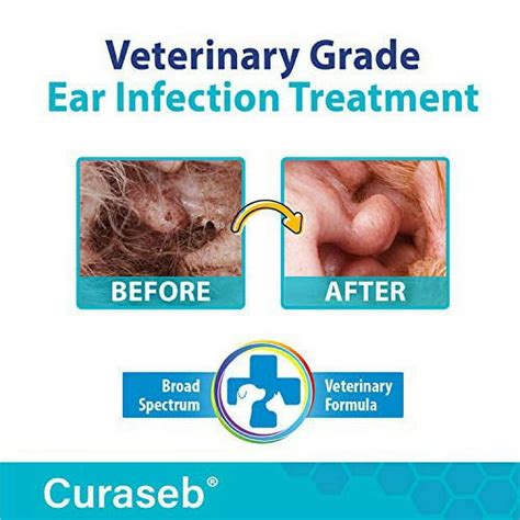 Yeast Ear Infection In Cats