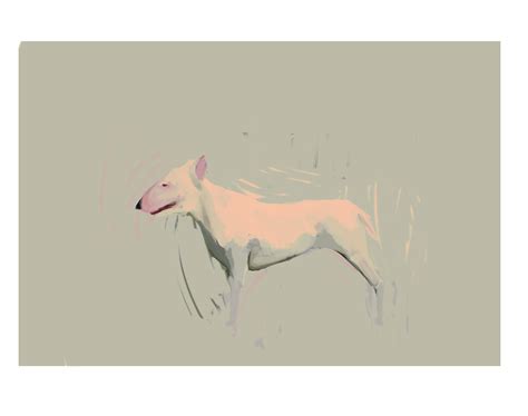 Dog Illustrations On Behance