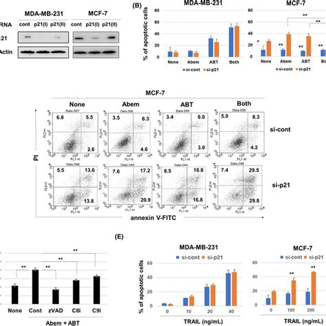 In Vitro Effects Of Abemaciclib Andor Abt‐263 On Two Breast Cancer Download Scientific Diagram